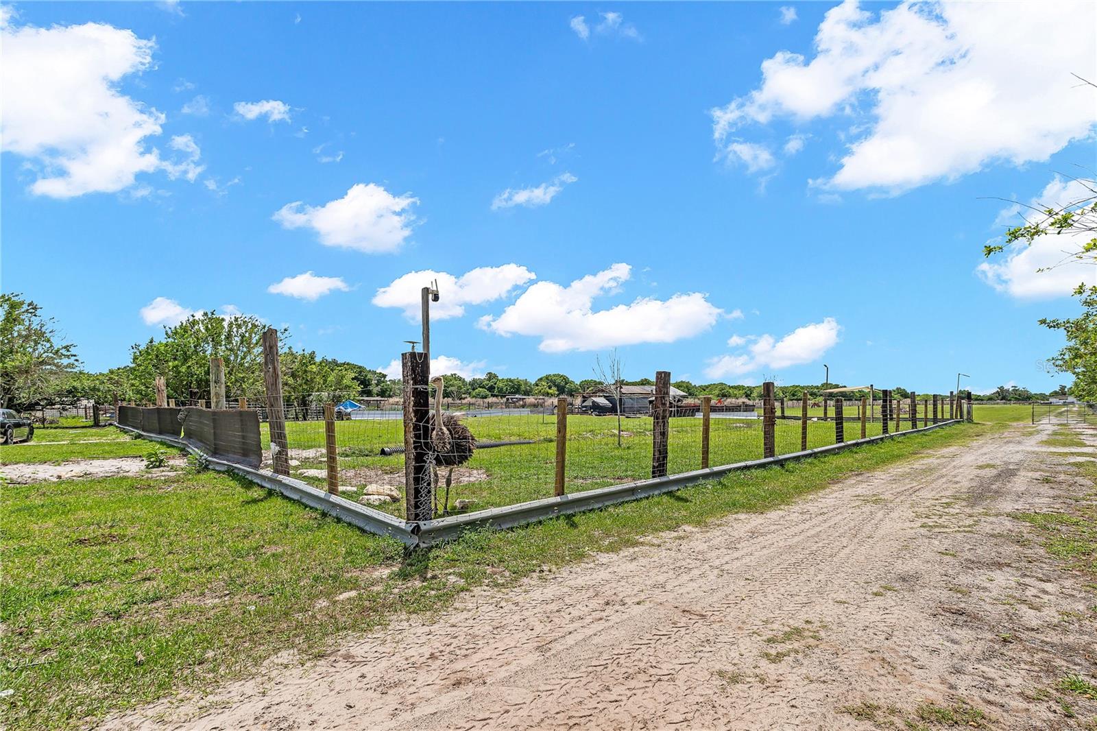 1321 BLUFF HAMMOCK RD, LORIDA, FL, 33857