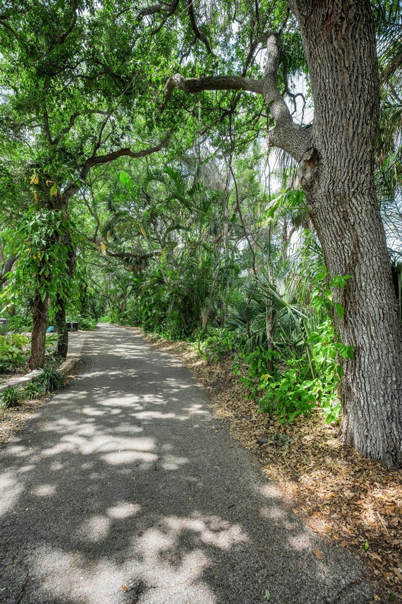 View of Marshall Street