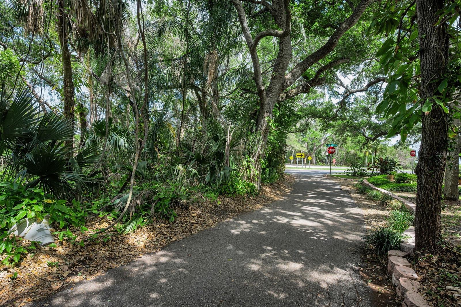 View of Marshall Street