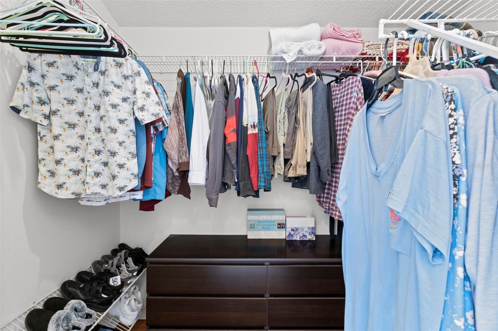 Primary Bedroom - Walk-in Closet
