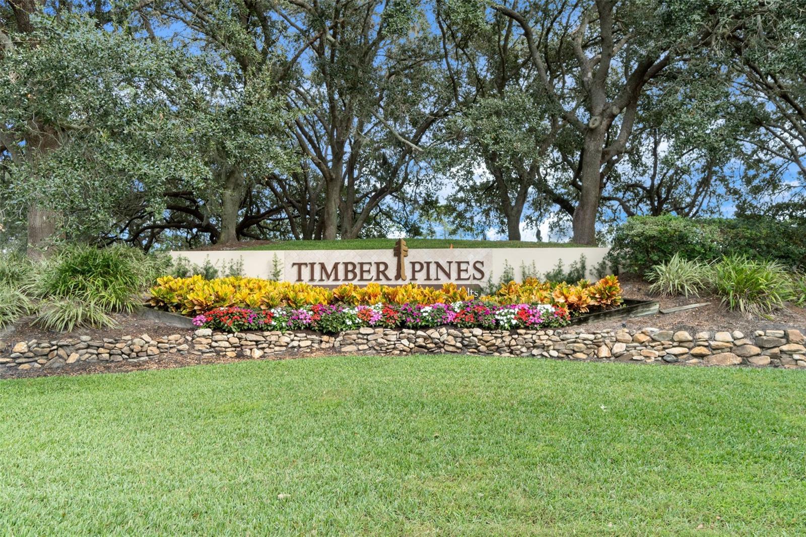 Timber Pines Community