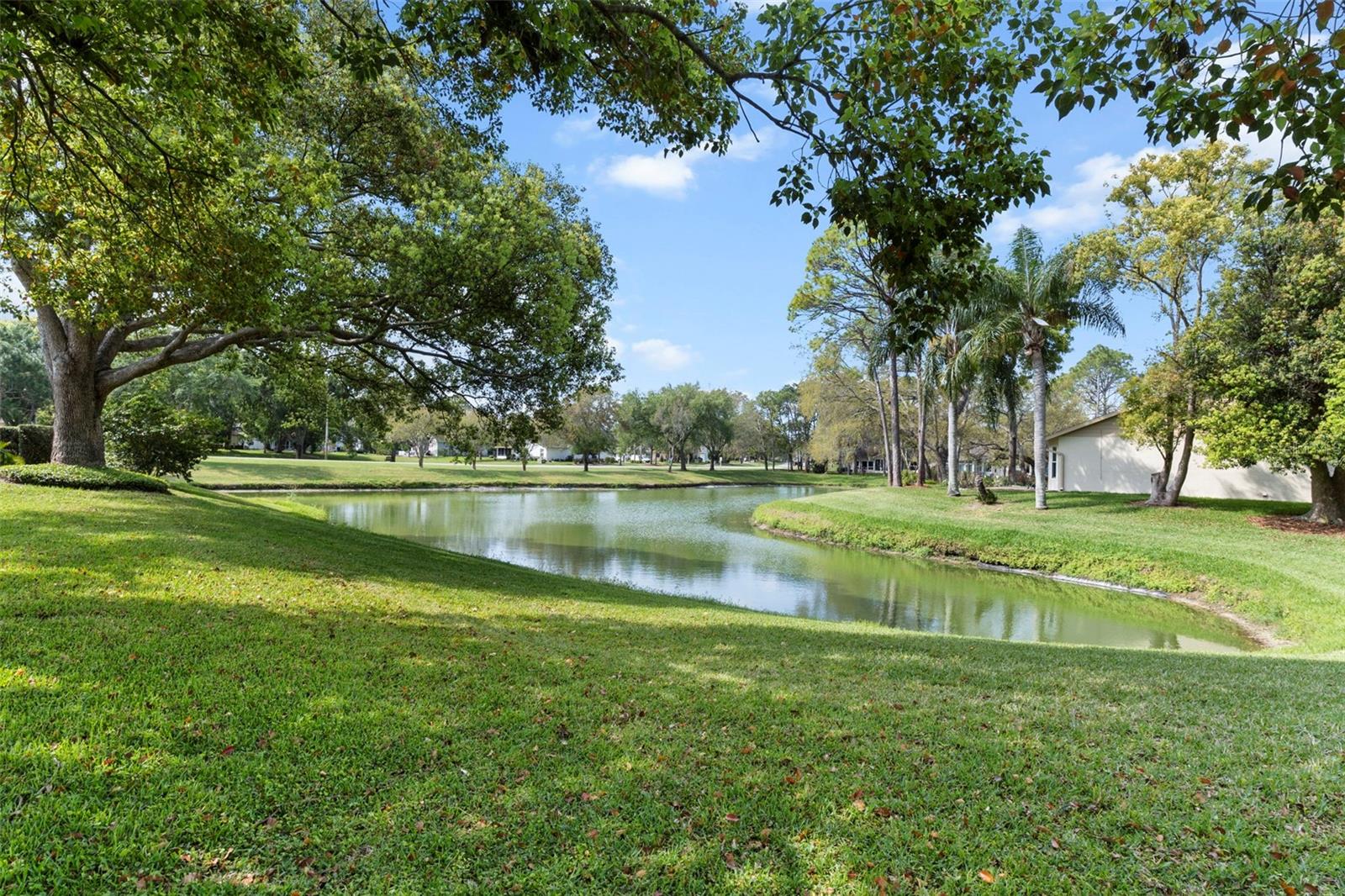 Back Yard View of Pond