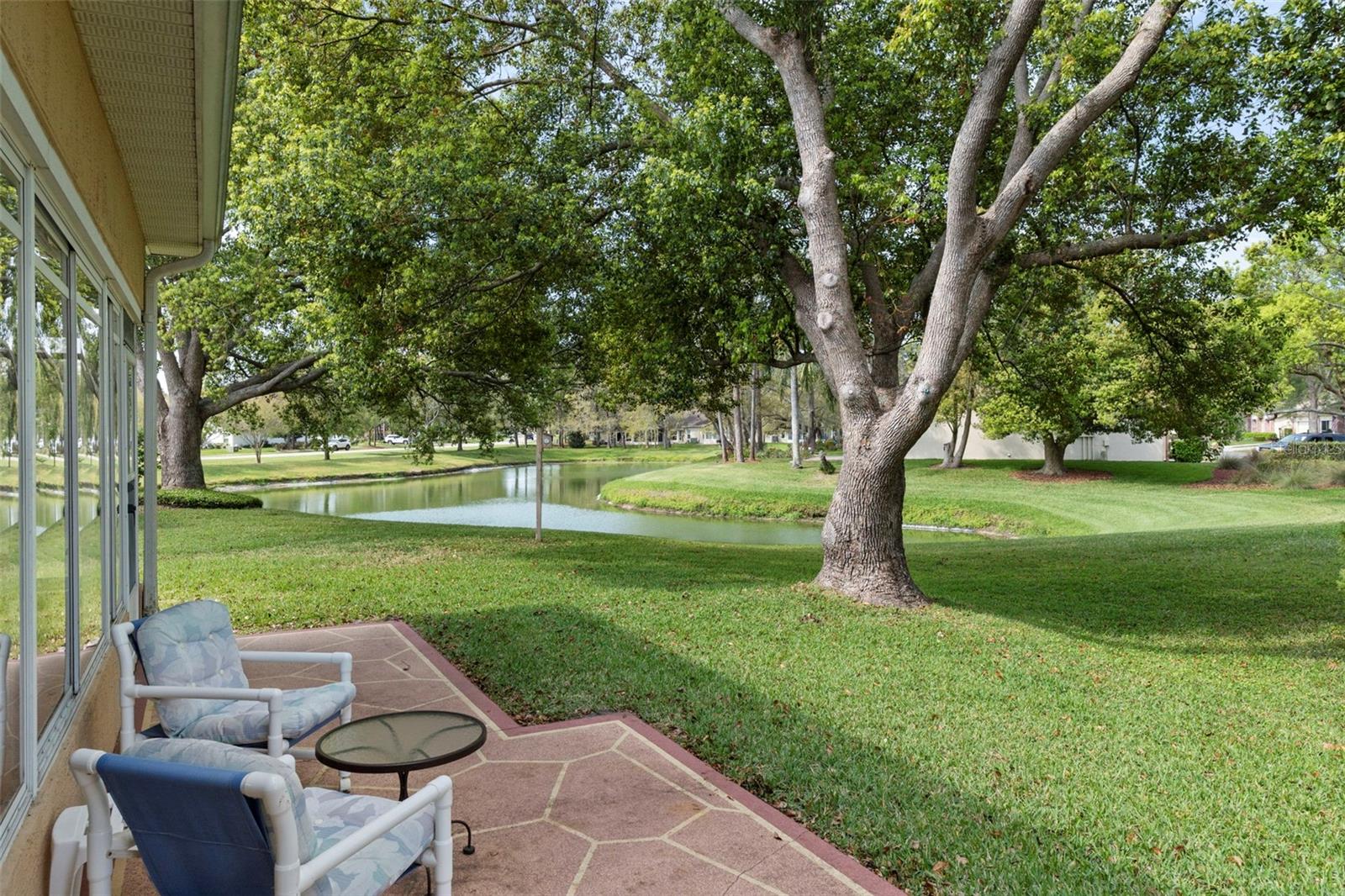 Patio Area - View of Pond