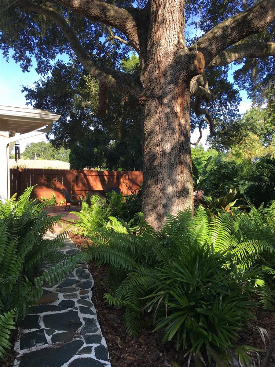 1415 S SCHOOL AVE, SARASOTA, FL, 34239