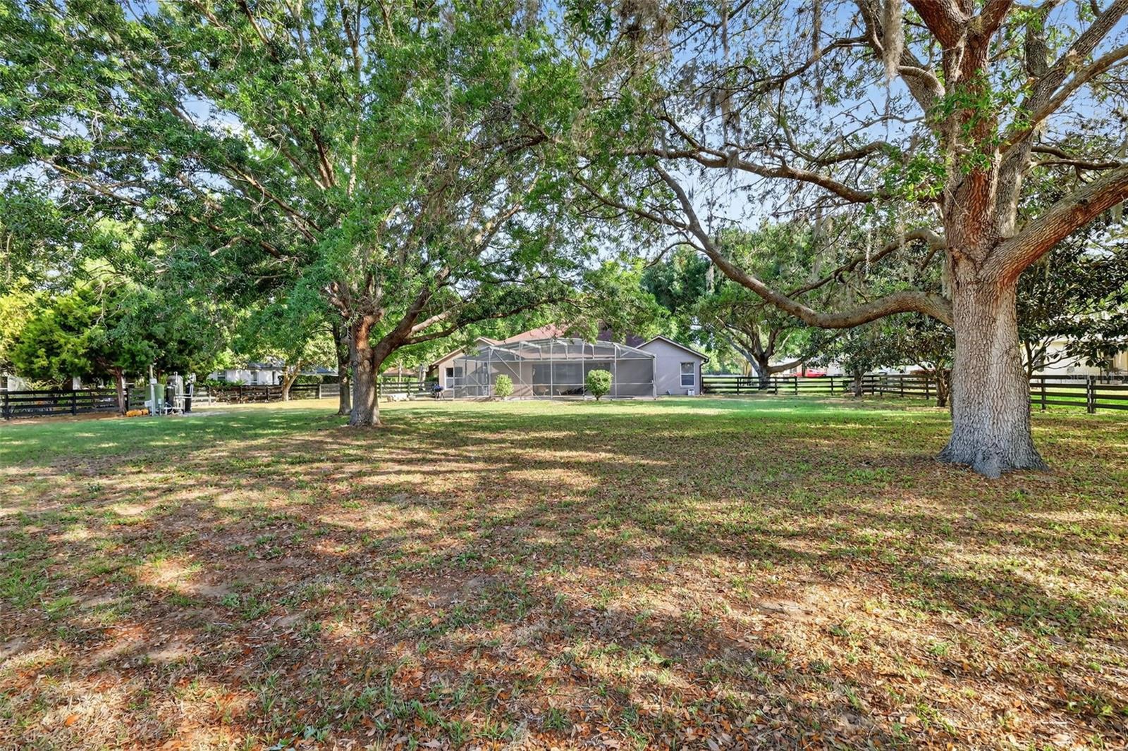 LAURELS MOUNT DORA 45/98, MOUNT DORA, FL, 32757