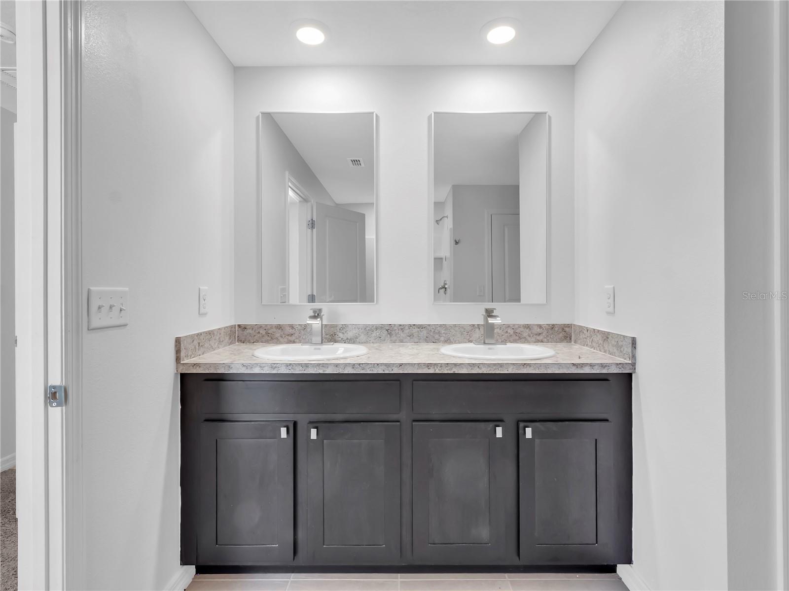 602 OLIVE CONCH ST, RUSKIN, FL, 33570