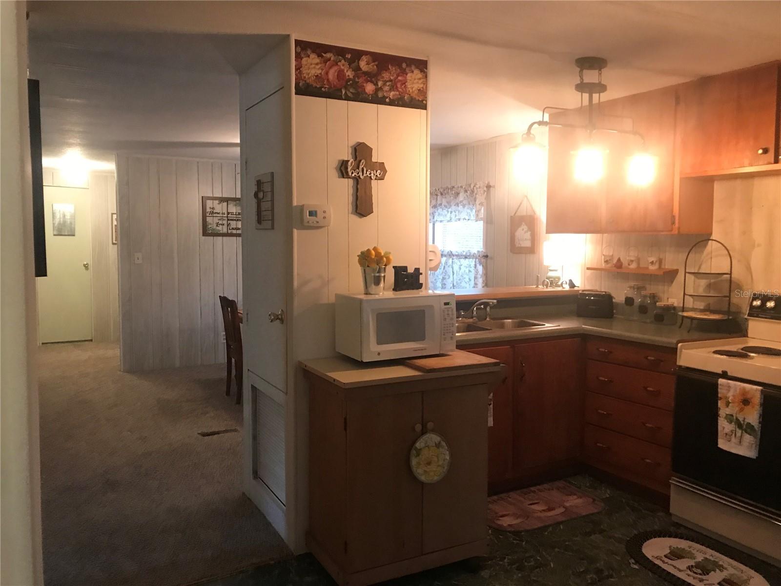 118 MILLCREEK DR, MELROSE, FL, 32666