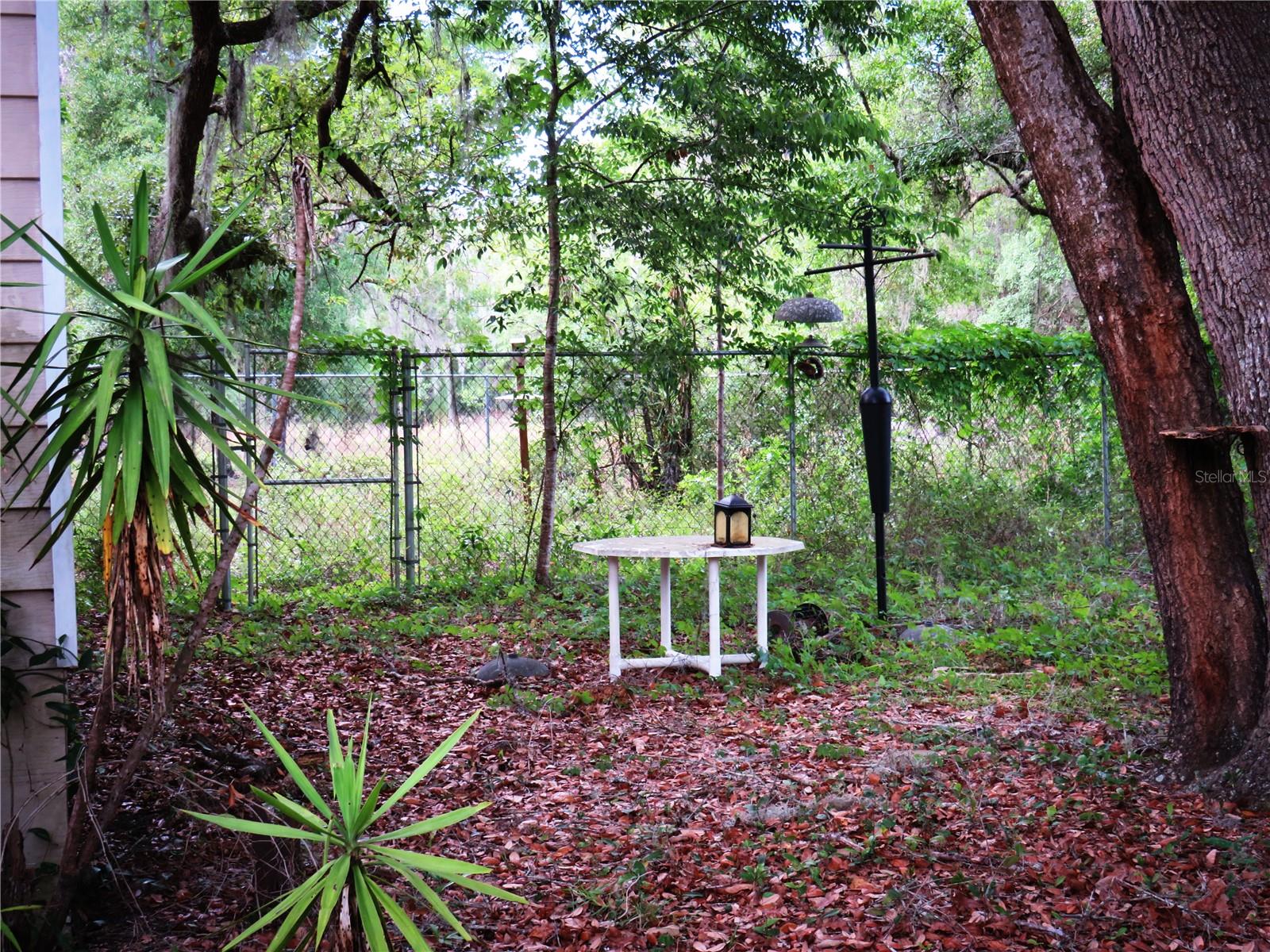 118 MILLCREEK DR, MELROSE, FL, 32666
