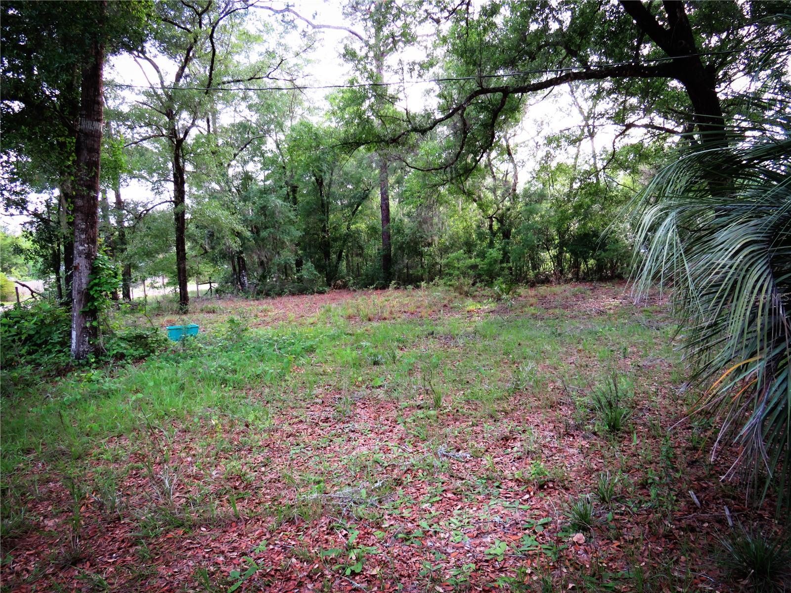 118 MILLCREEK DR, MELROSE, FL, 32666
