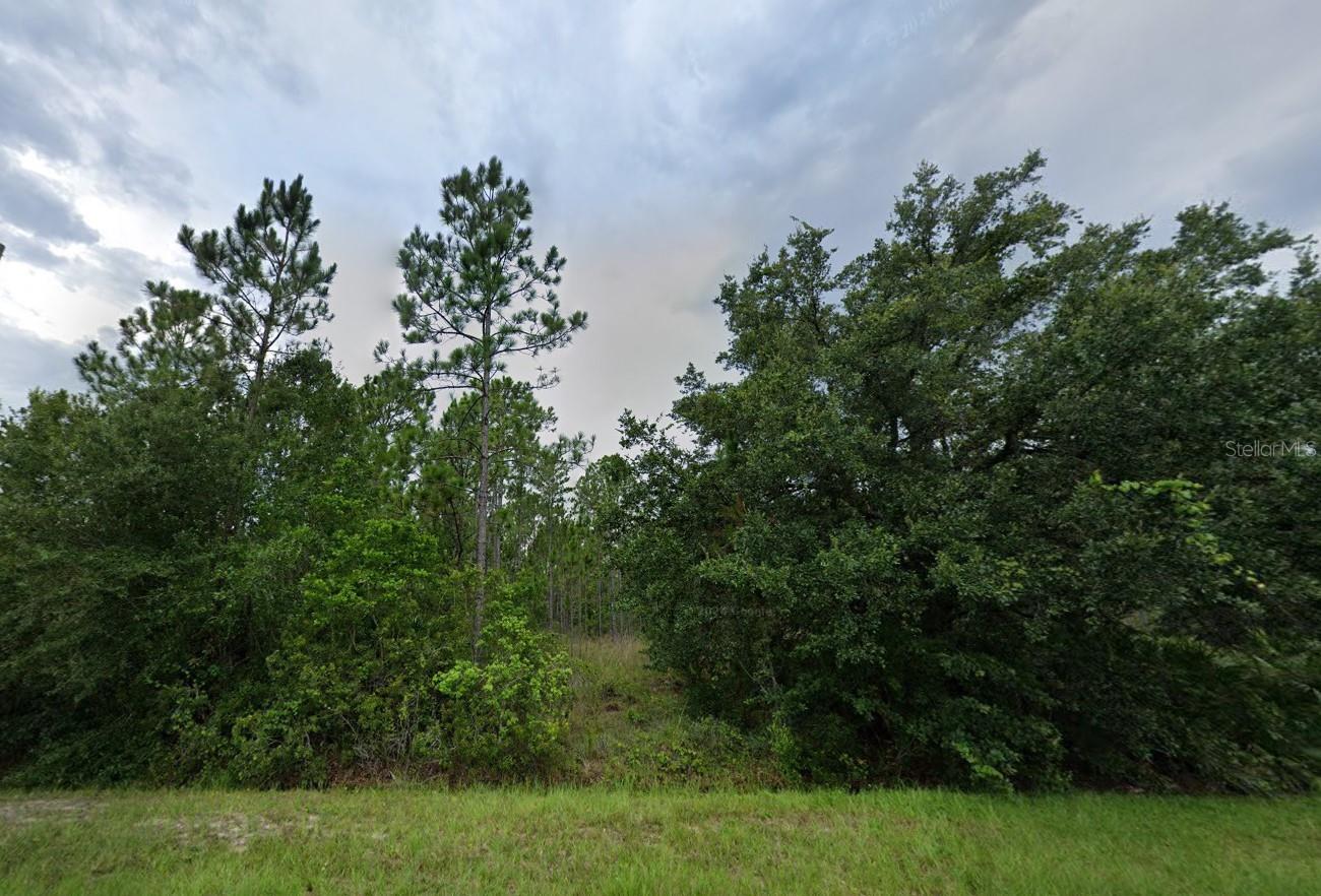 4014 CORONET AVE, ORLANDO, FL, 32833