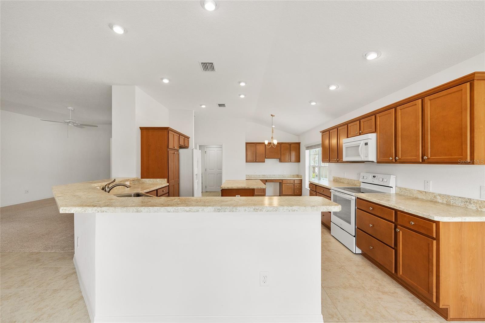 1953 YEARLING WAY, THE VILLAGES, FL, 32163