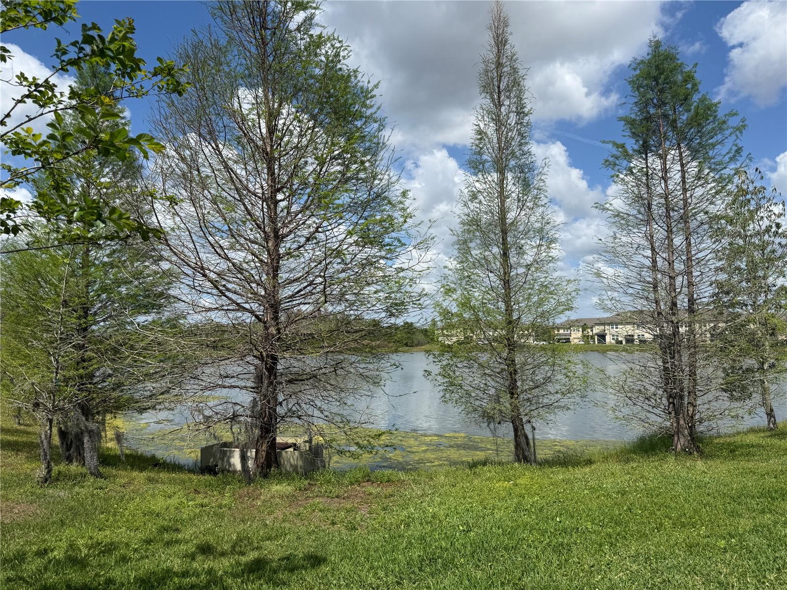 2453 STAPLEFORD PL, WESLEY CHAPEL, FL, 33543