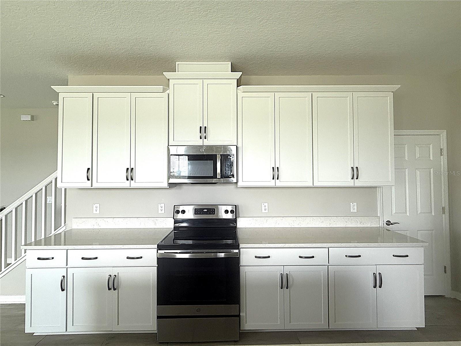 2453 STAPLEFORD PL, WESLEY CHAPEL, FL, 33543