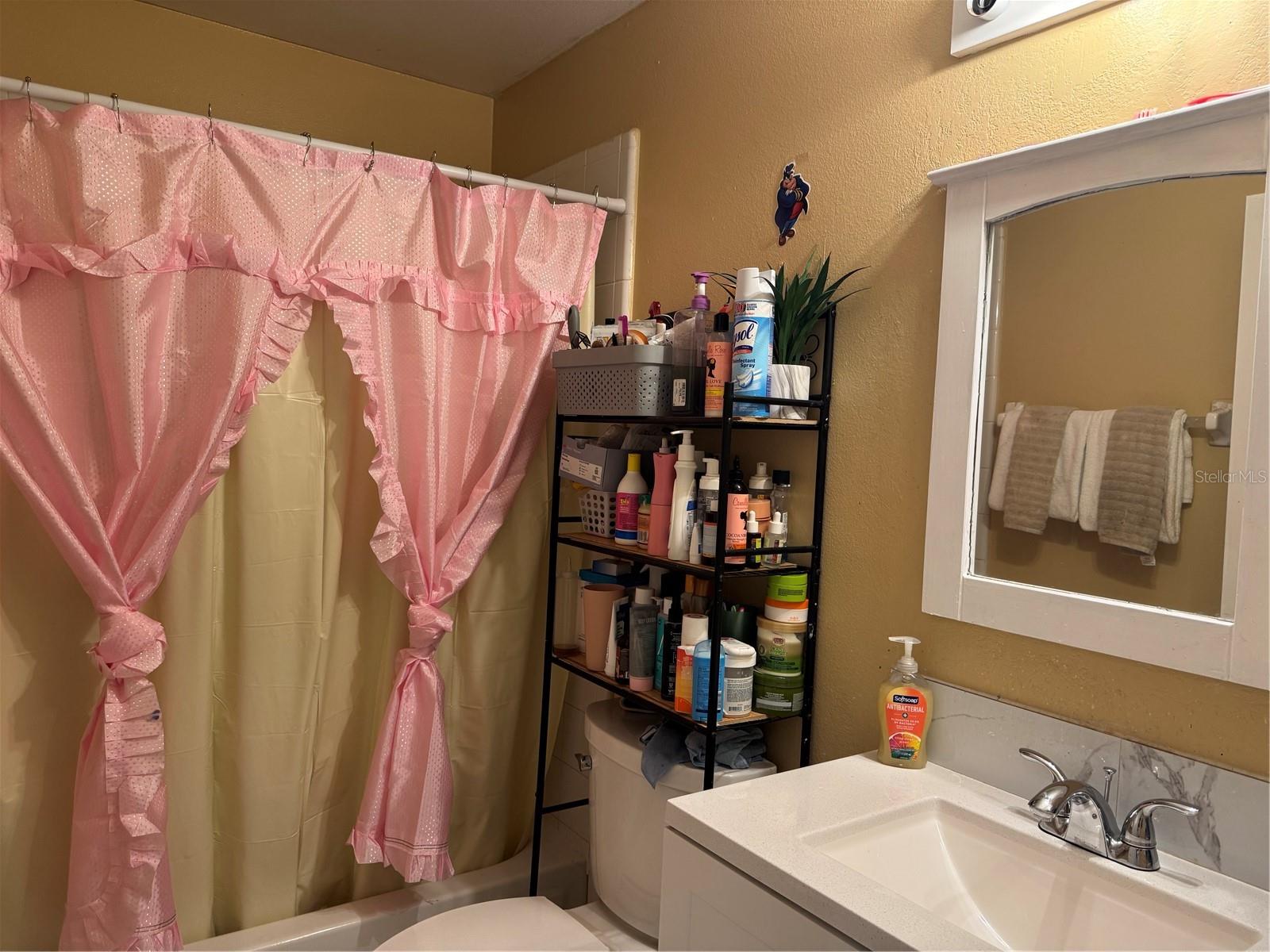 3407 LAKE TINY CIR, ORLANDO, FL, 32818