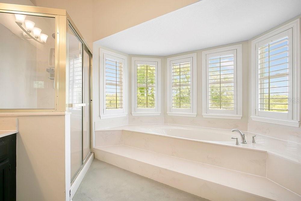 2702 CARTER GROVE CIR, WINDERMERE, FL, 34786