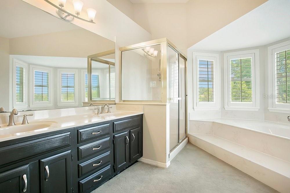 2702 CARTER GROVE CIR, WINDERMERE, FL, 34786