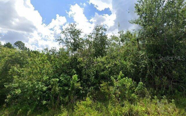 2336 DRENNON ST, PORT CHARLOTTE, FL, 33953
