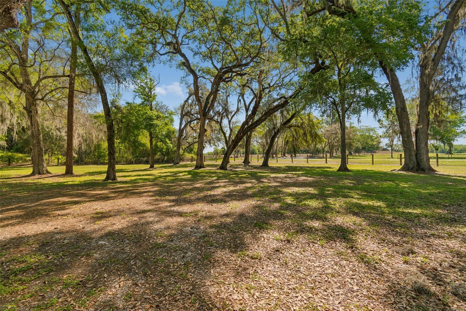 4300 CR 673, BUSHNELL, FL, 33513