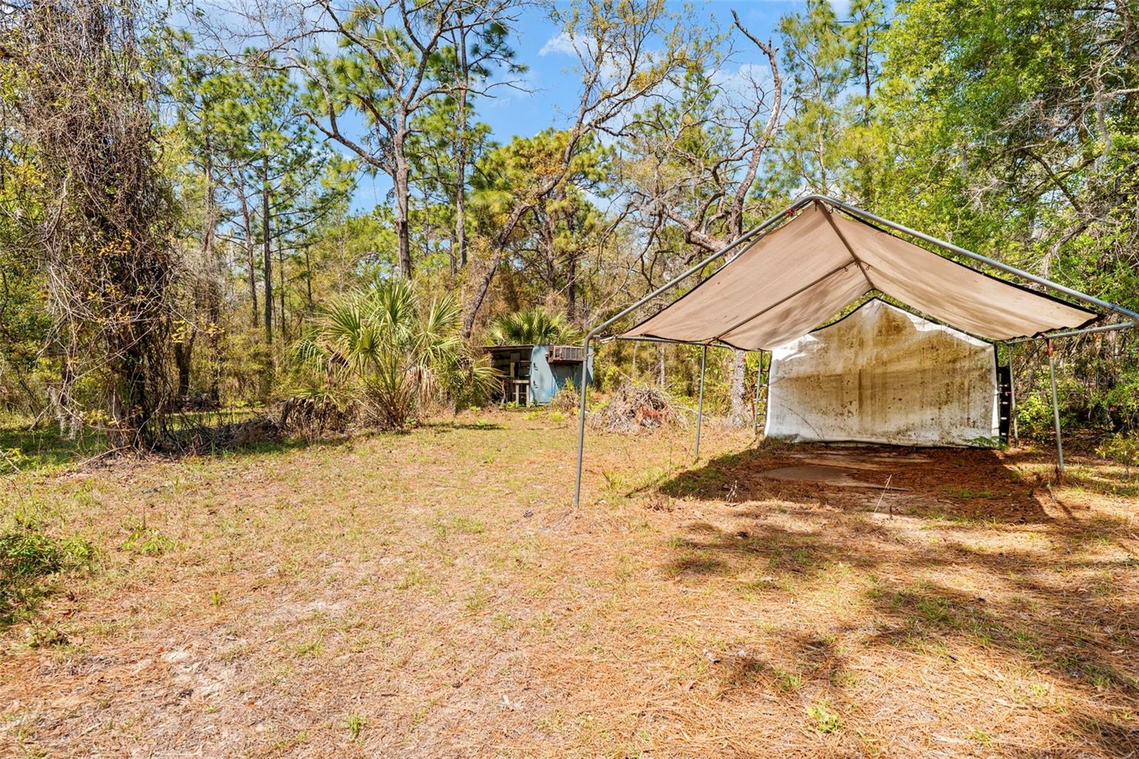 11317 SALINA ST, BROOKSVILLE, FL, 34614
