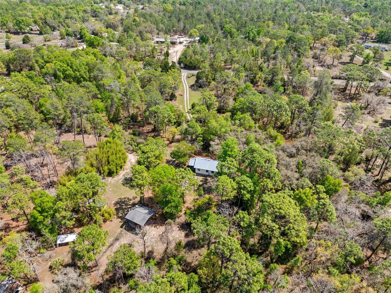 11317 SALINA ST, BROOKSVILLE, FL, 34614