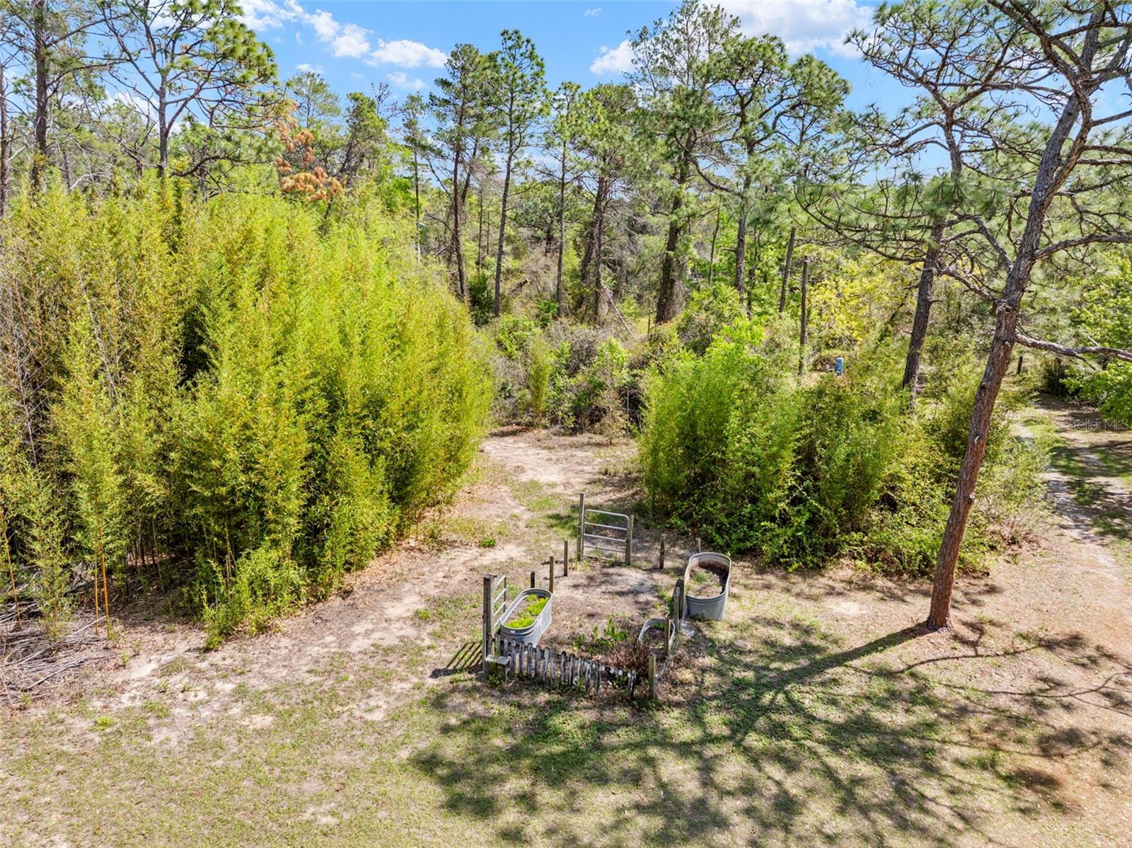11317 SALINA ST, BROOKSVILLE, FL, 34614