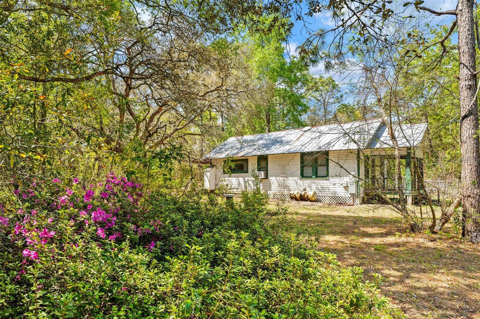 11317 SALINA ST, BROOKSVILLE, FL, 34614