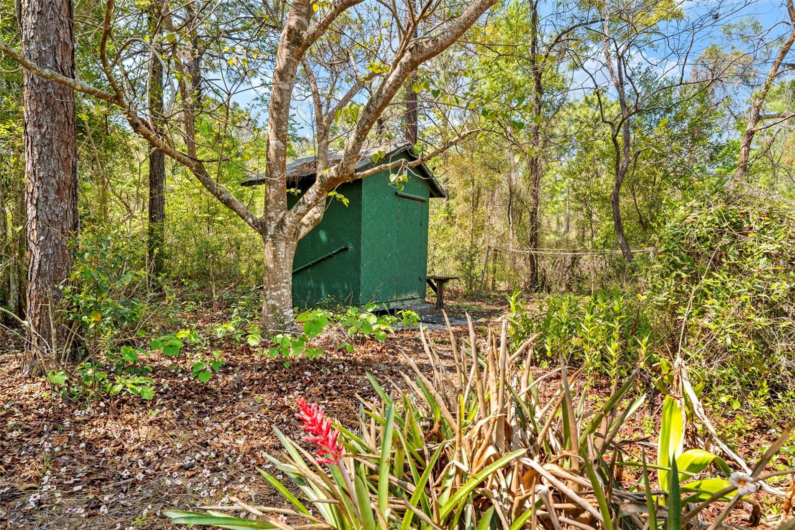 11317 SALINA ST, BROOKSVILLE, FL, 34614