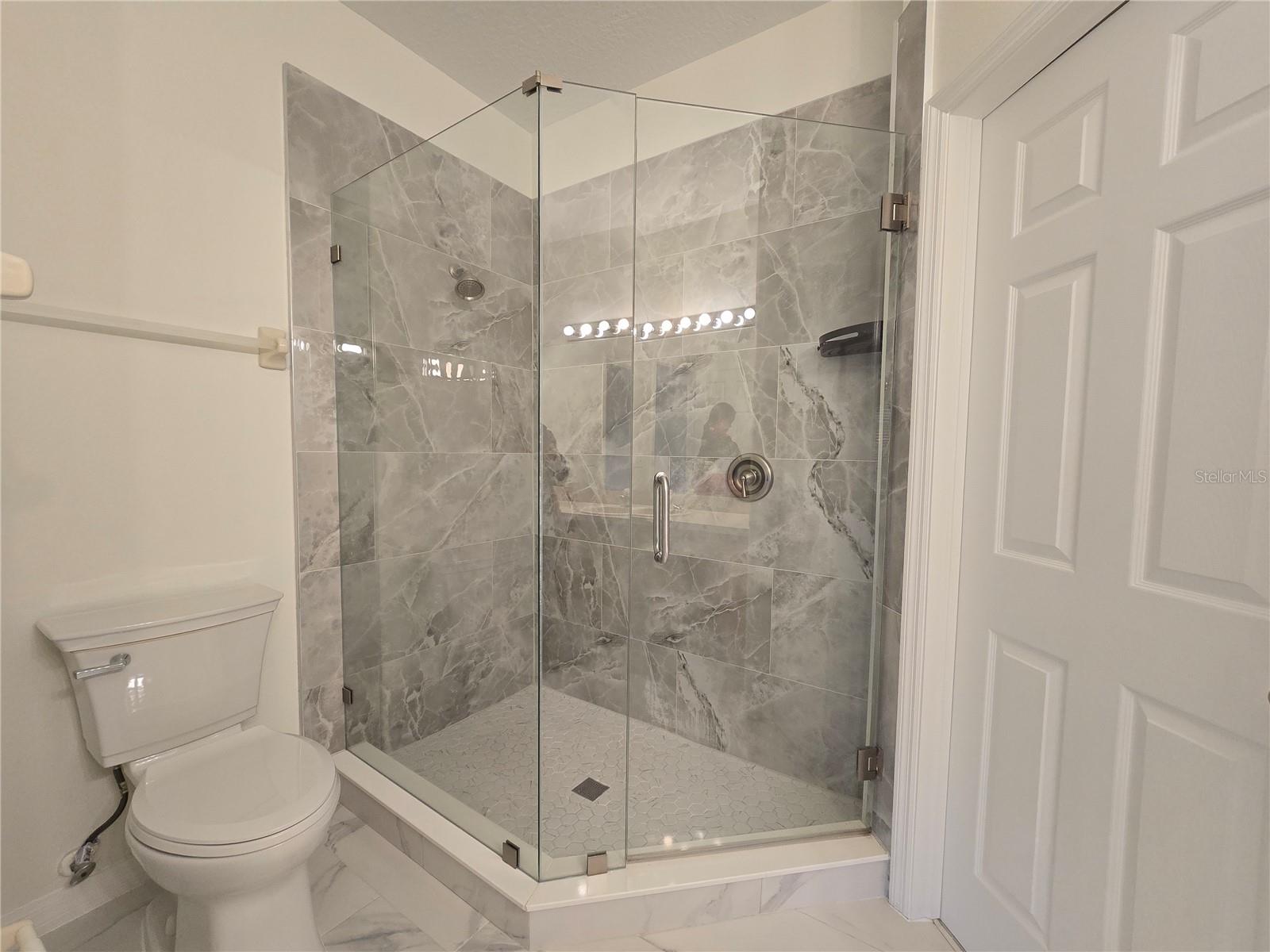 30202 GOODWICK WAY, WESLEY CHAPEL, FL, 33543