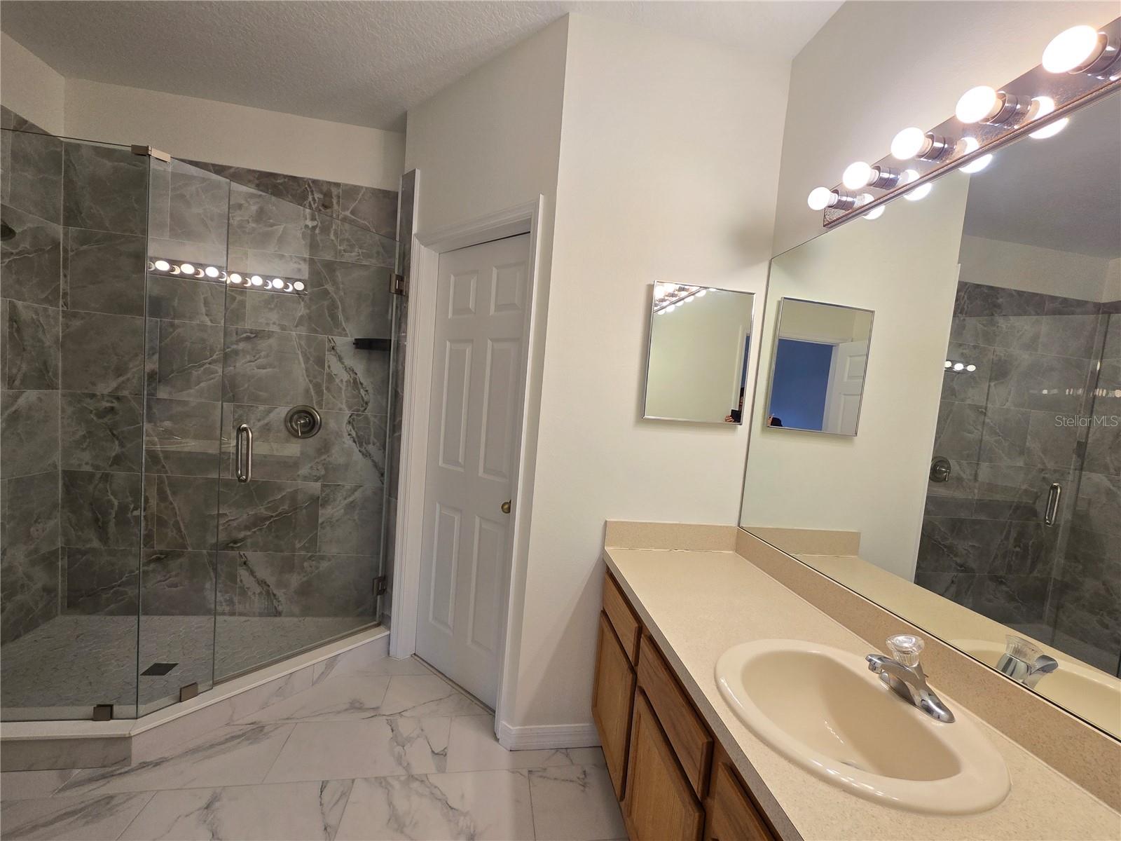 30202 GOODWICK WAY, WESLEY CHAPEL, FL, 33543