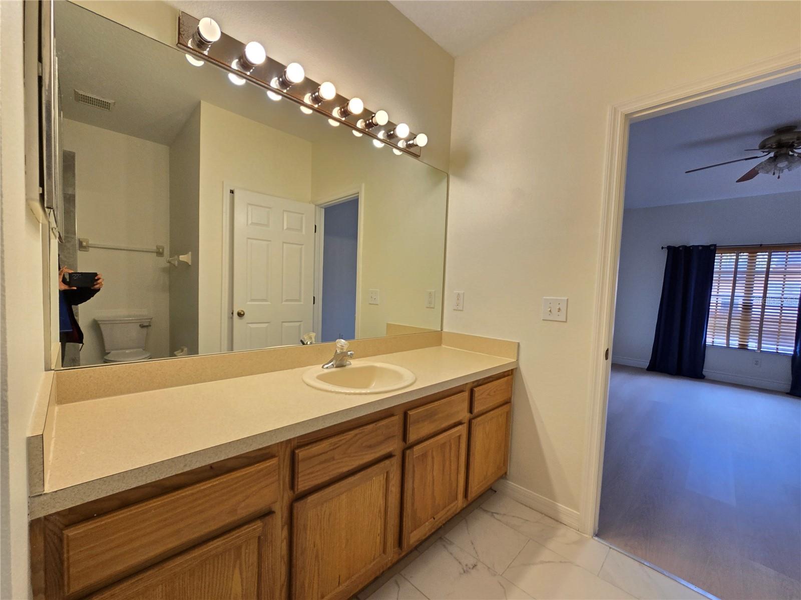 30202 GOODWICK WAY, WESLEY CHAPEL, FL, 33543