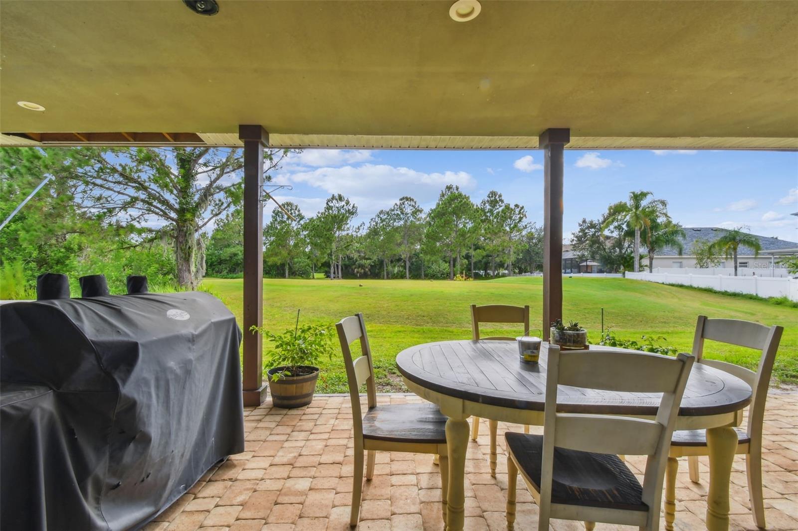 12915 CARLINGTON LN, RIVERVIEW, FL, 33579