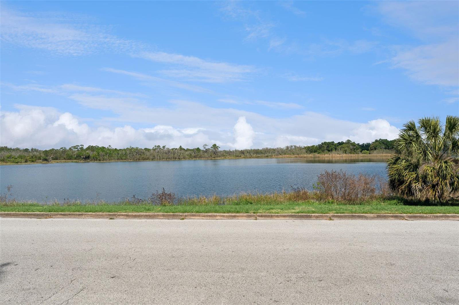 806 S MAIN AVE, GROVELAND, FL, 34736