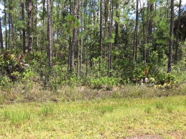 808 ORCHID DR, INDIAN LAKE ESTATES, FL, 33855