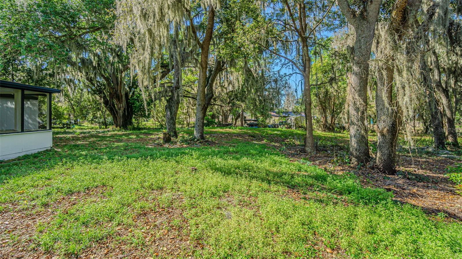 8807 OVERLOOK DR, WESLEY CHAPEL, FL, 33545