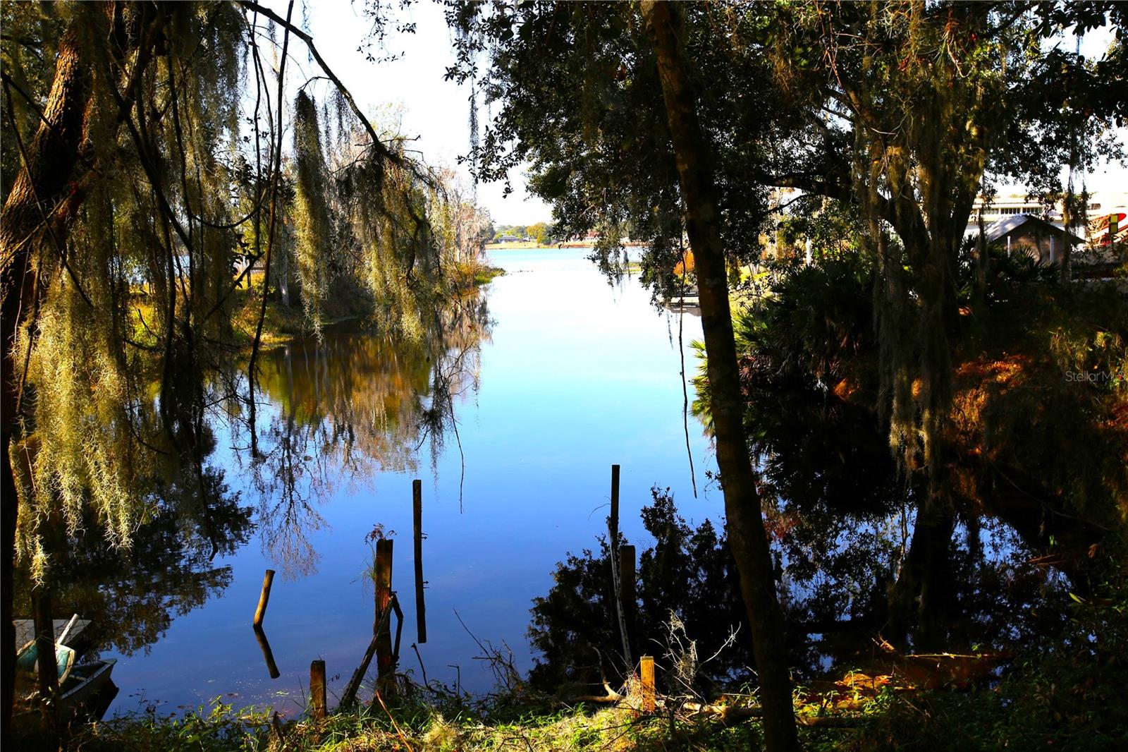 8807 OVERLOOK DR, WESLEY CHAPEL, FL, 33545