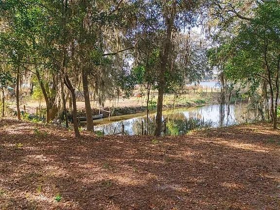 8807 OVERLOOK DR, WESLEY CHAPEL, FL, 33545