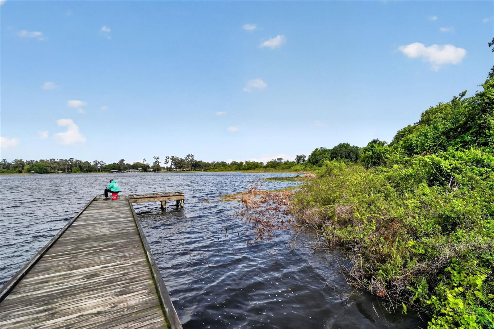 165 ANDERSON ST, LAKE PLACID, FL, 33852