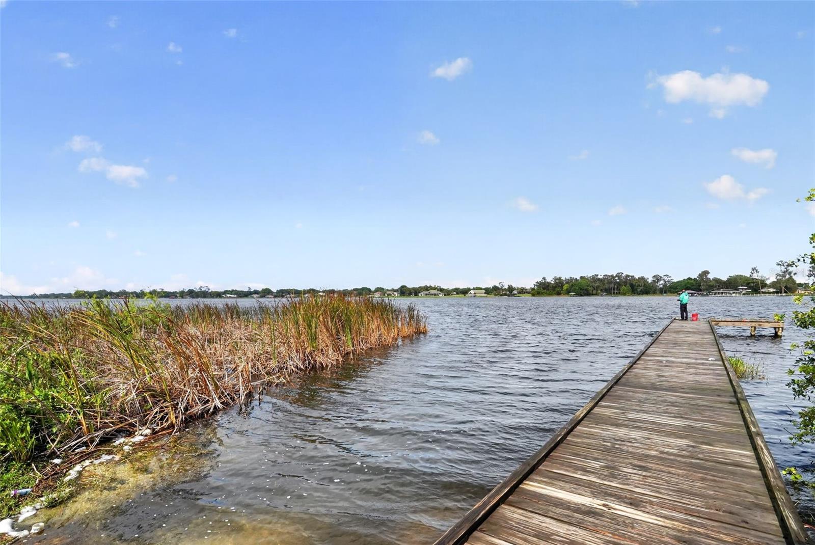 165 ANDERSON ST, LAKE PLACID, FL, 33852