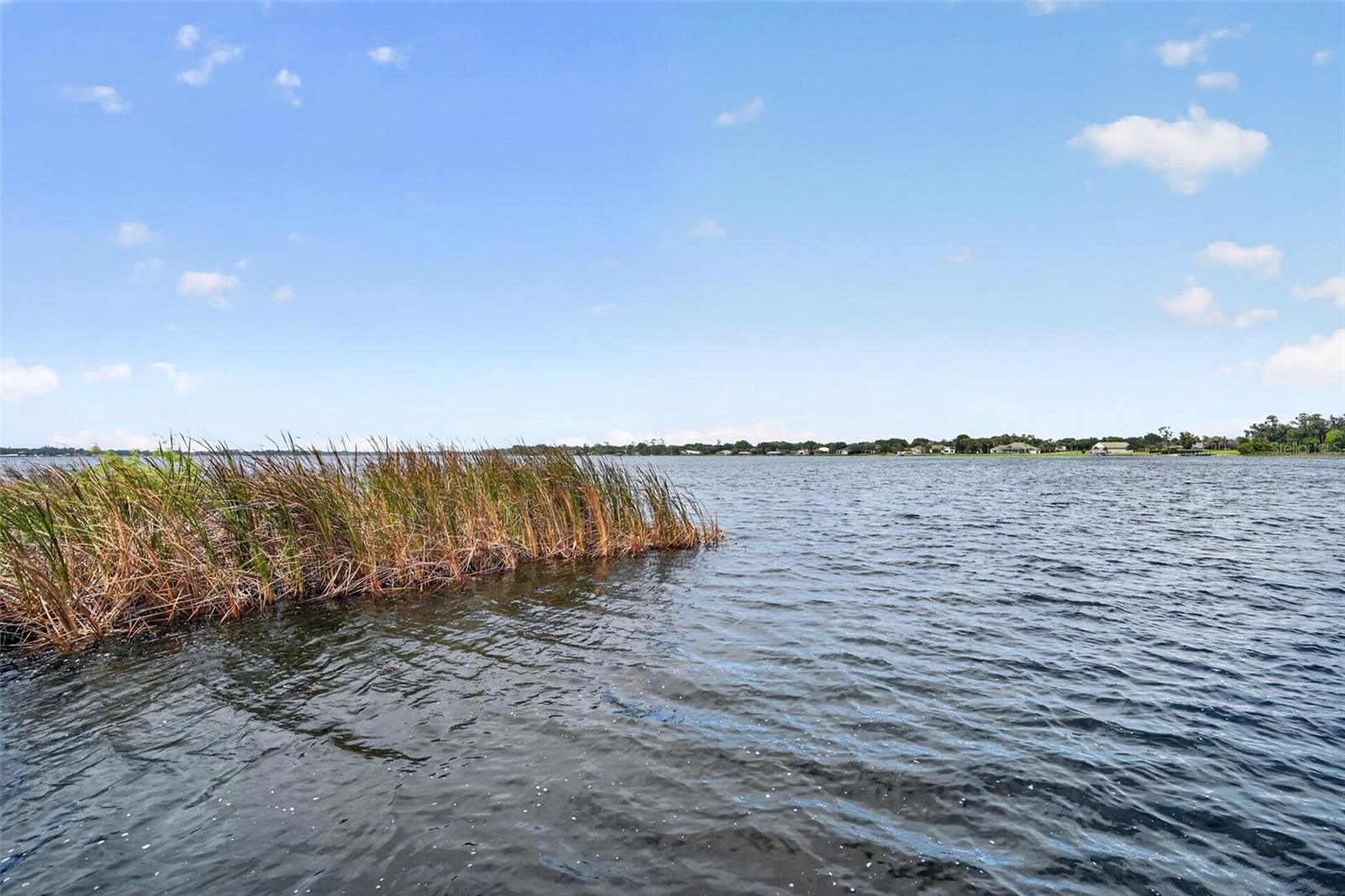 165 ANDERSON ST, LAKE PLACID, FL, 33852