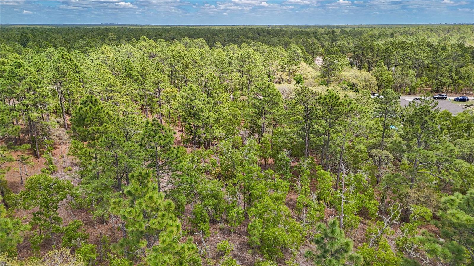 TBD SW 137TH COURT ROAD, DUNNELLON, FL, 34432