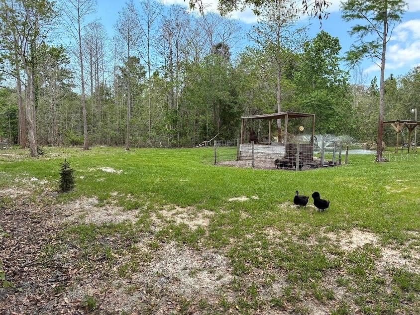 7161 SCHERING ST, WEEKI WACHEE, FL, 34613