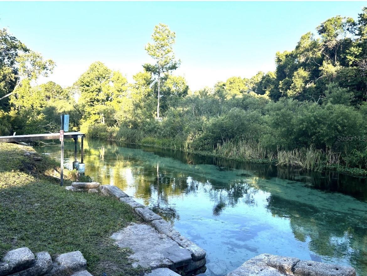 7161 SCHERING ST, WEEKI WACHEE, FL, 34613