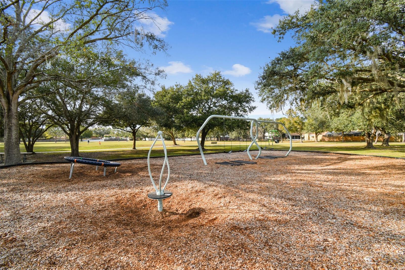 4710 SOUTHBREEZE DR, TAMPA, FL, 33624