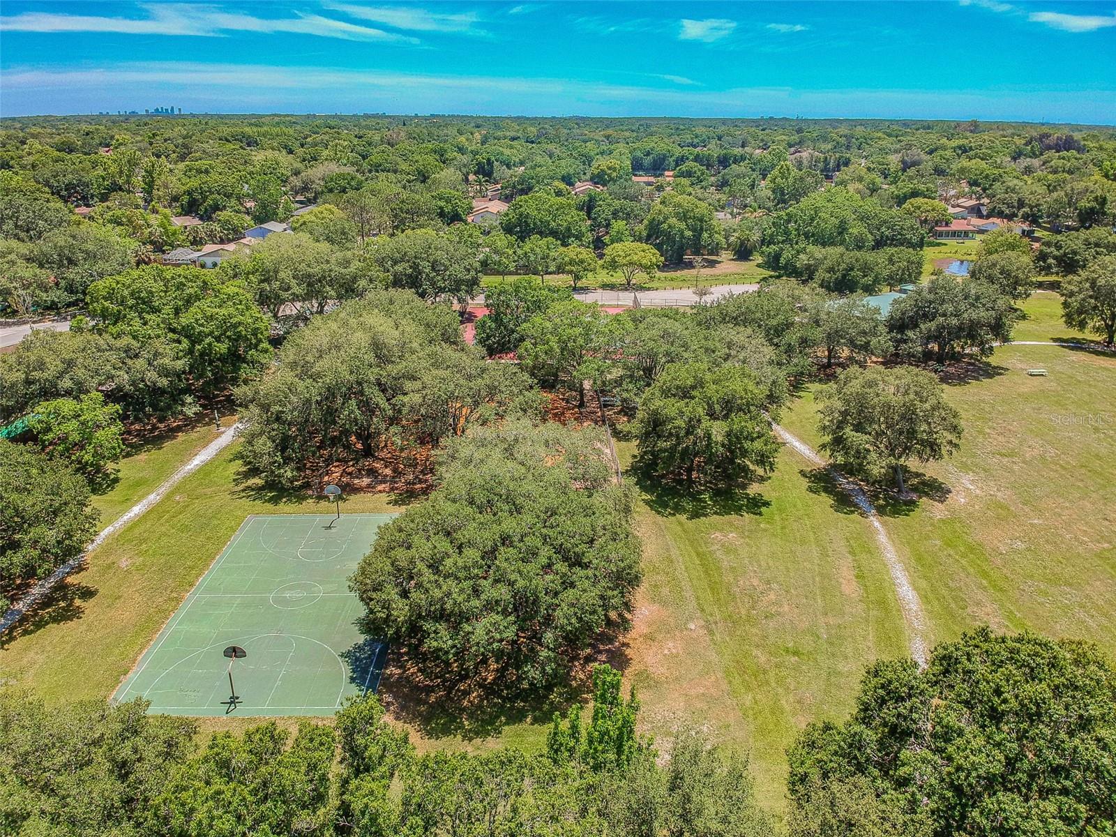 4710 SOUTHBREEZE DR, TAMPA, FL, 33624