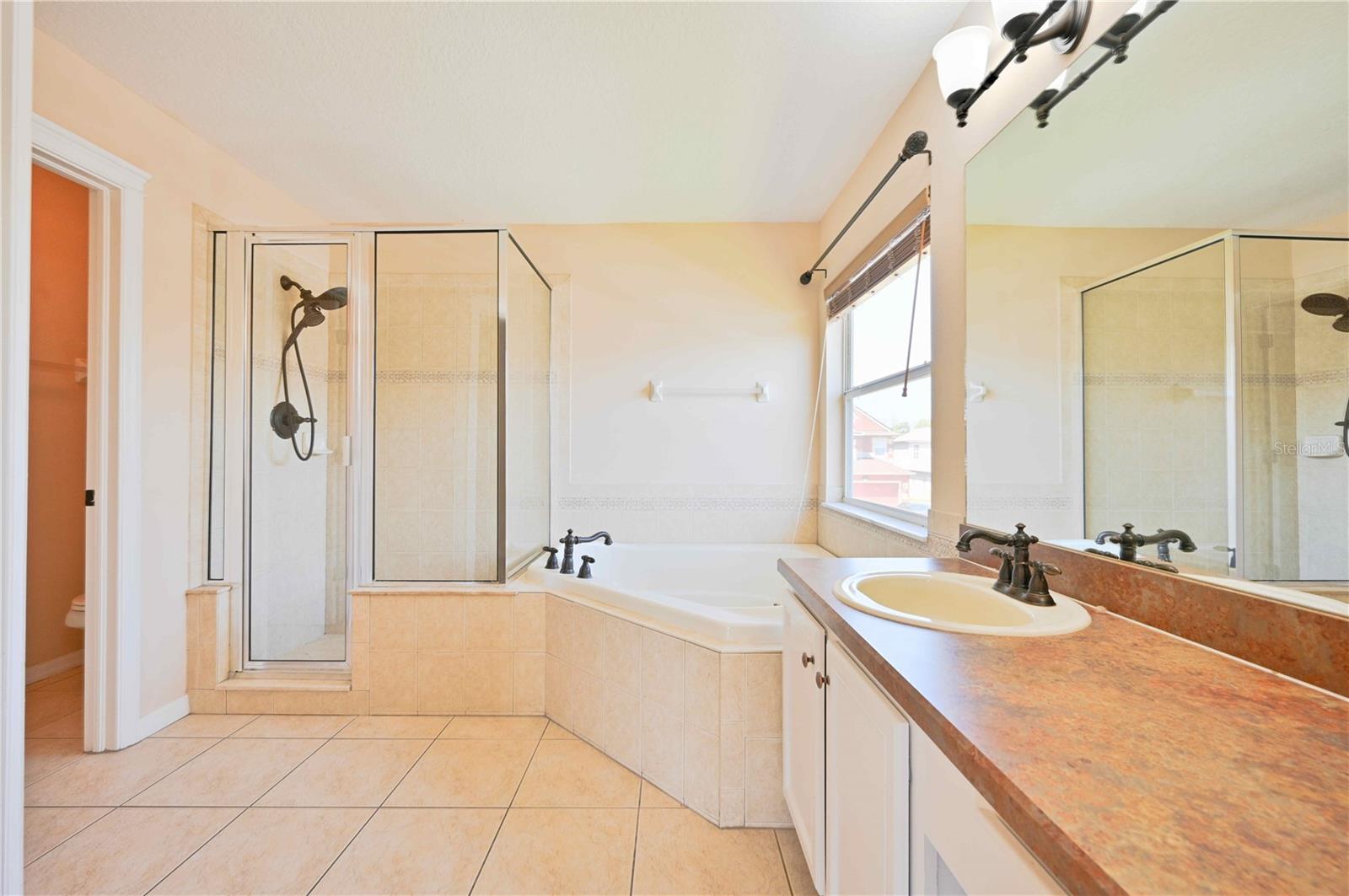 4646 POINTE O WOODS DR, WESLEY CHAPEL, FL, 33543
