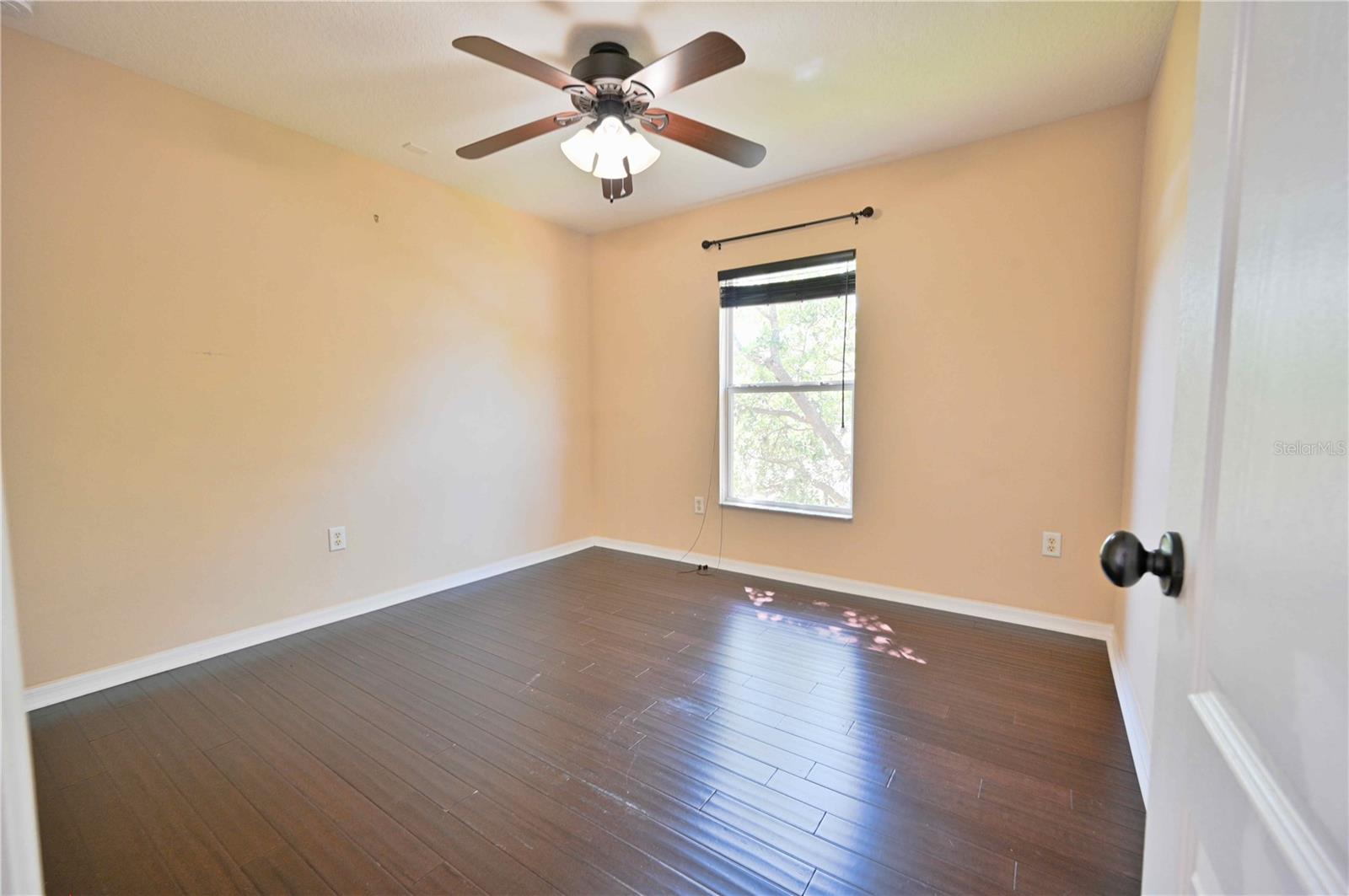 4646 POINTE O WOODS DR, WESLEY CHAPEL, FL, 33543