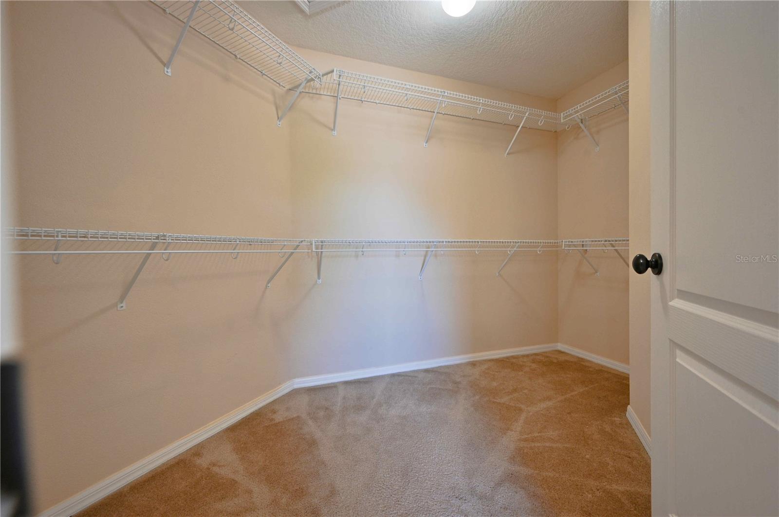 4646 POINTE O WOODS DR, WESLEY CHAPEL, FL, 33543