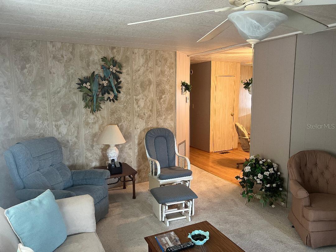 6902 ORLO DR, ZEPHYRHILLS, FL, 33542
