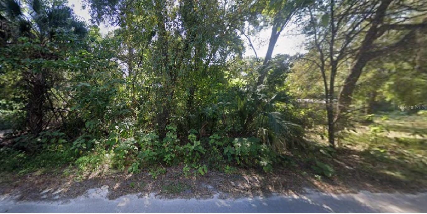 NE 167TH PL, CITRA, FL, 32113