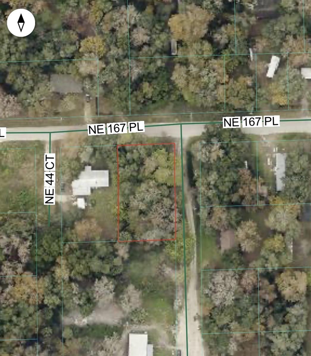 NE 167TH PL, CITRA, FL, 32113